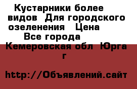 Кустарники более 100 видов. Для городского озеленения › Цена ­ 70 - Все города  »    . Кемеровская обл.,Юрга г.